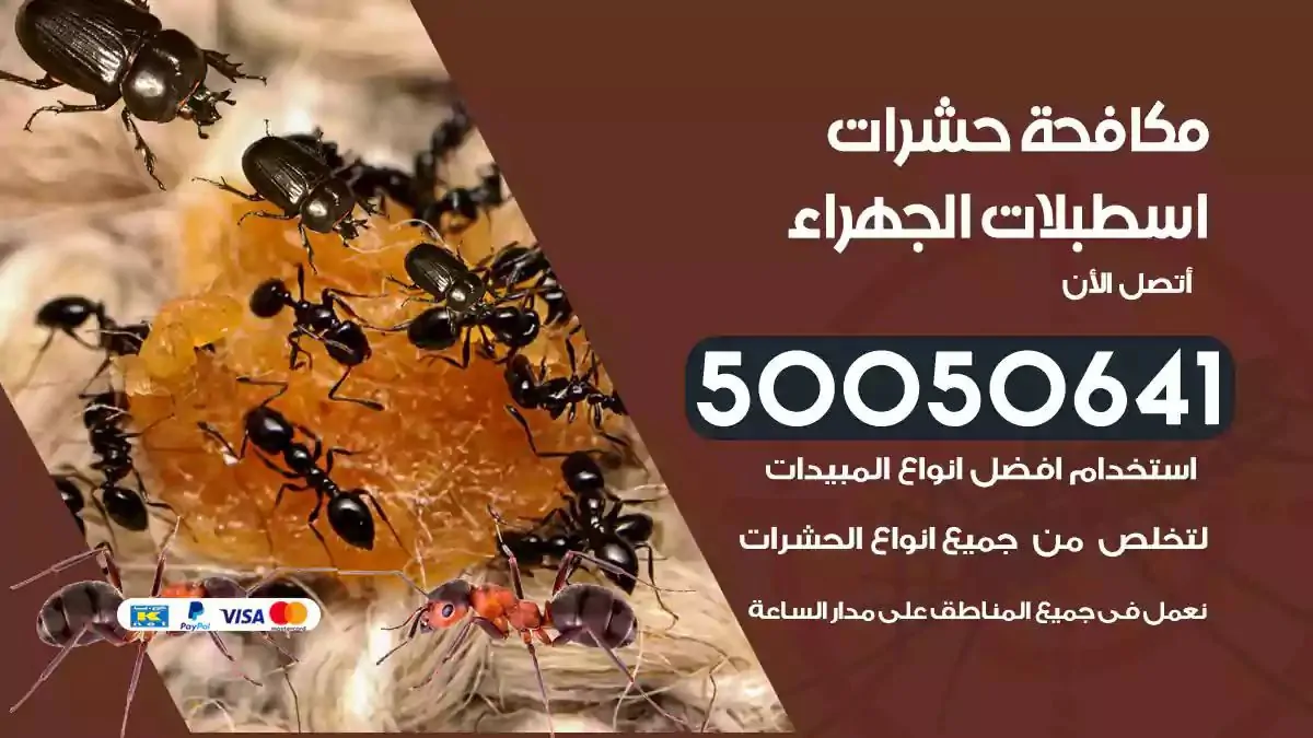 رش حشرات اسطبلات الجهراء