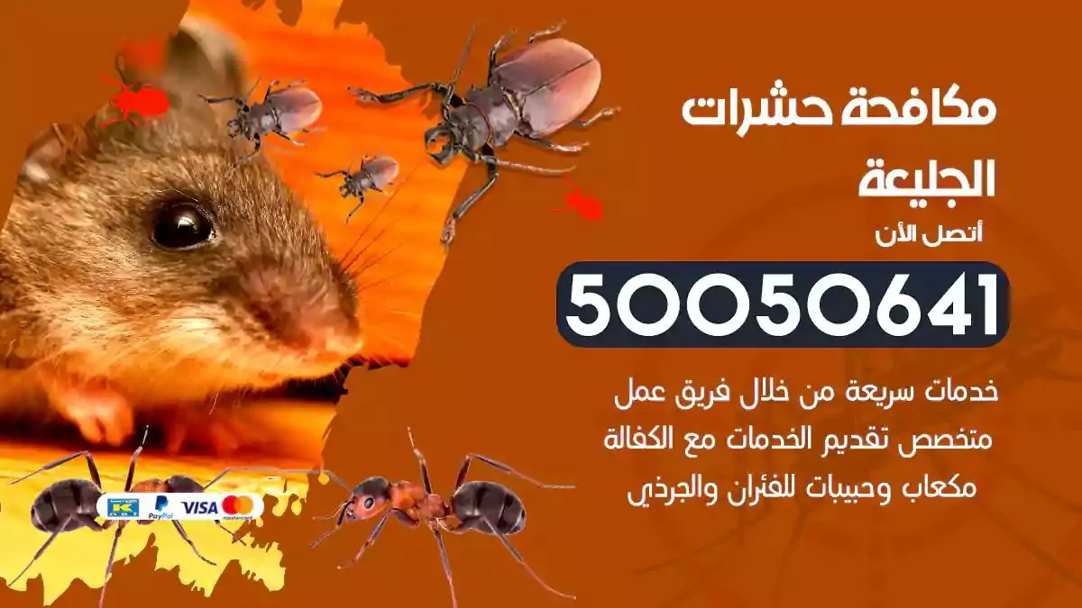 رش حشرات الجليعة