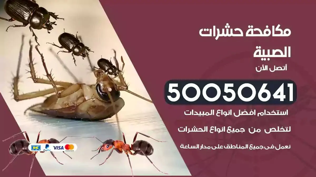 رش حشرات الصبية