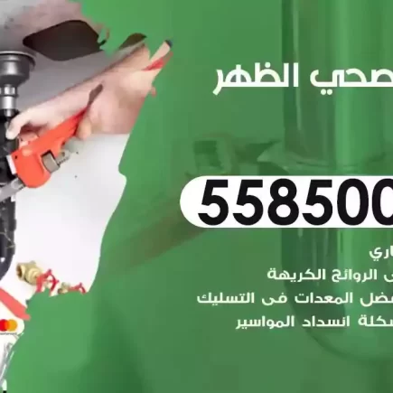 فني صحي سباك الظهر