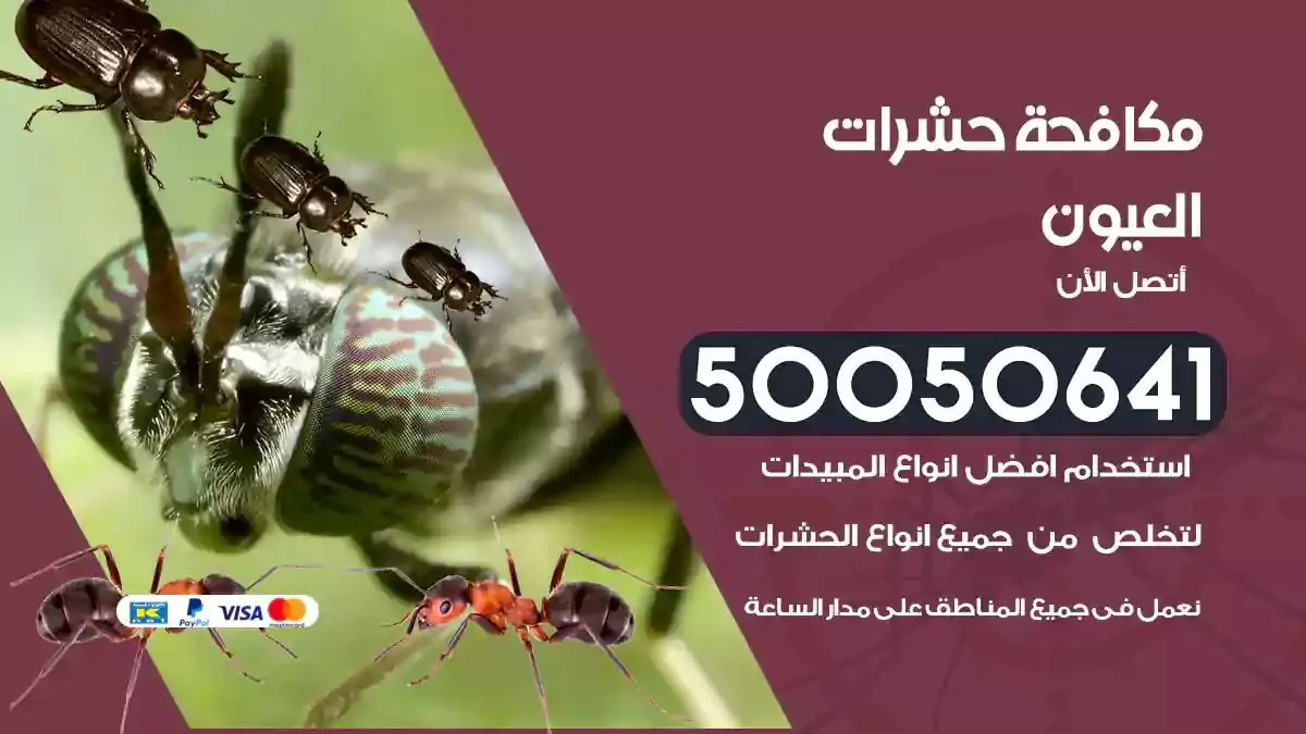 رش حشرات العيون
