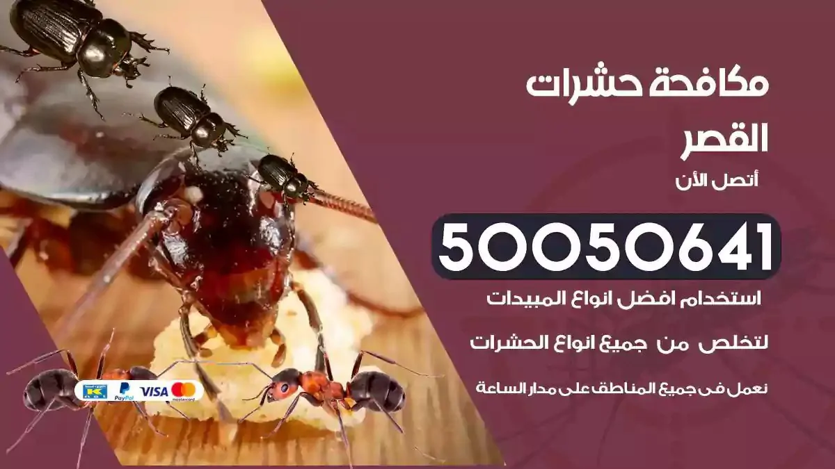 رش حشرات القصر