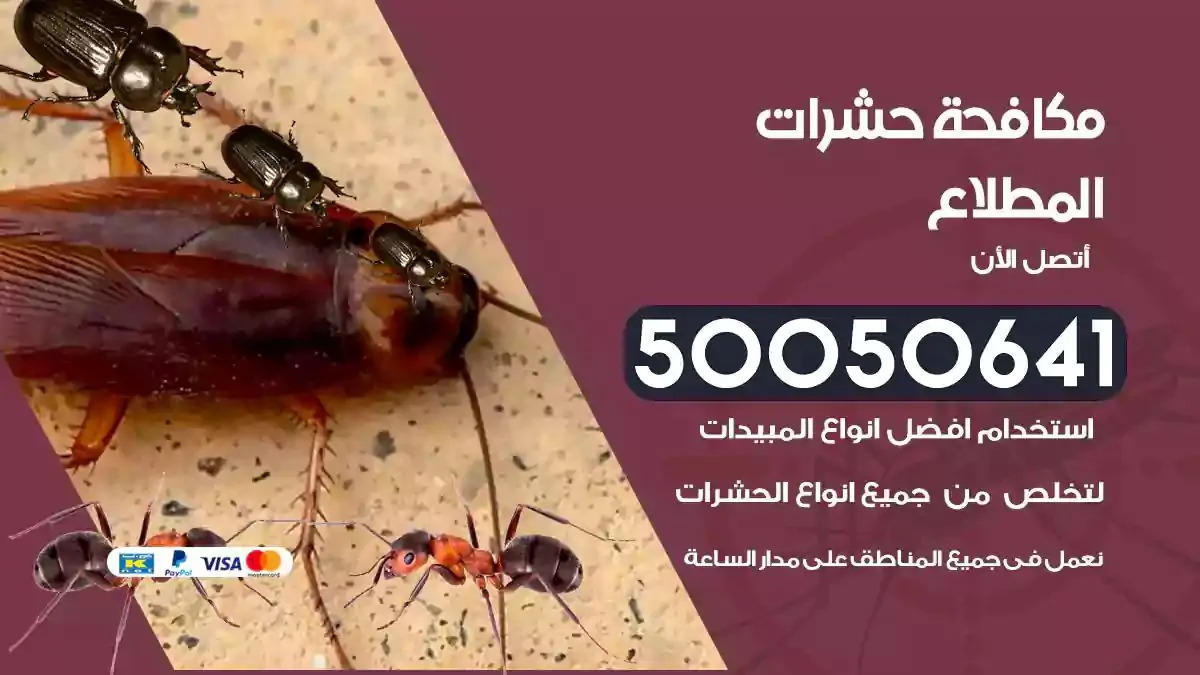 رش حشرات المطلاع