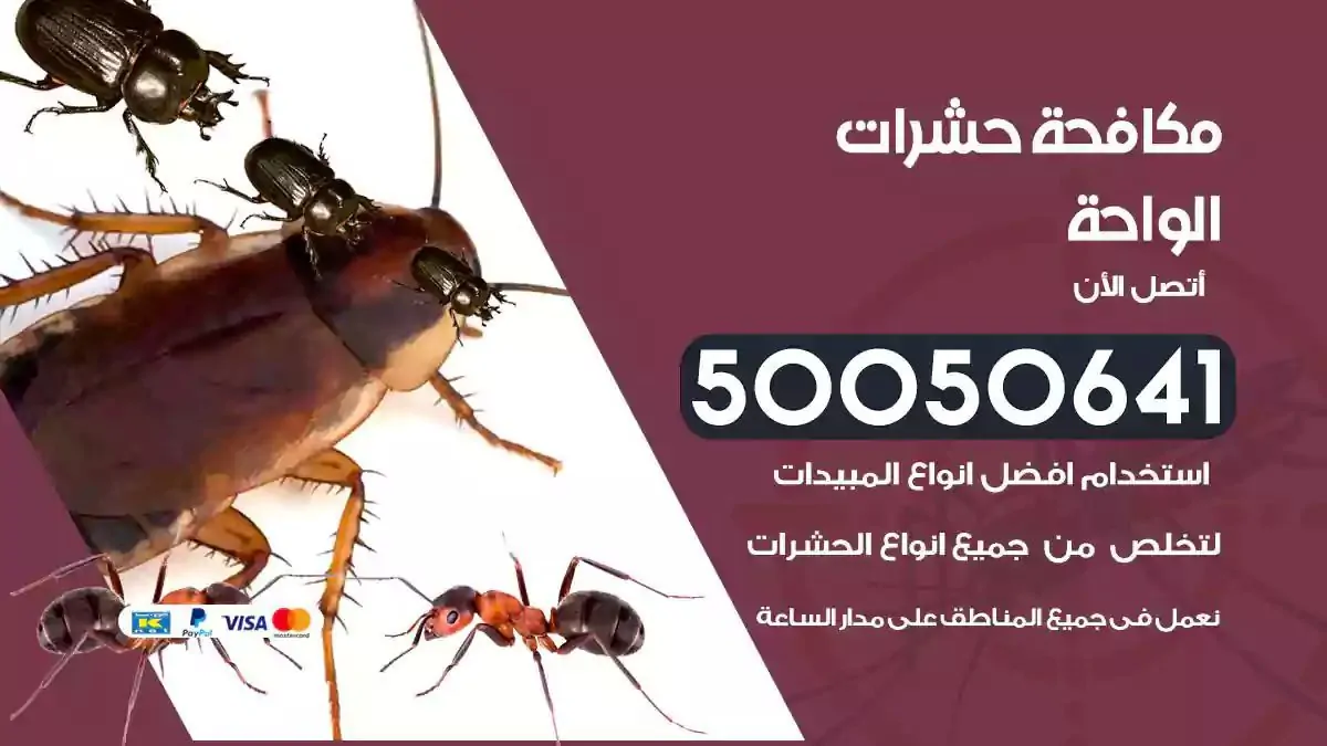 رش حشرات الواحة