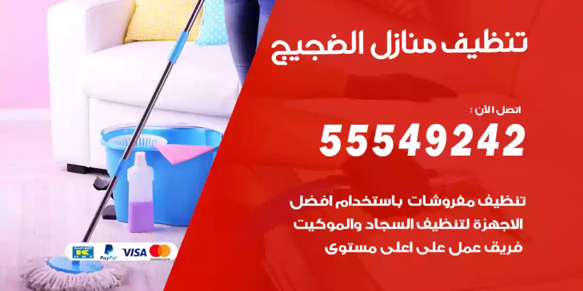 تنظيف منازل الضجيج