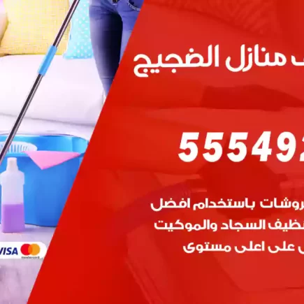 تنظيف منازل الضجيج