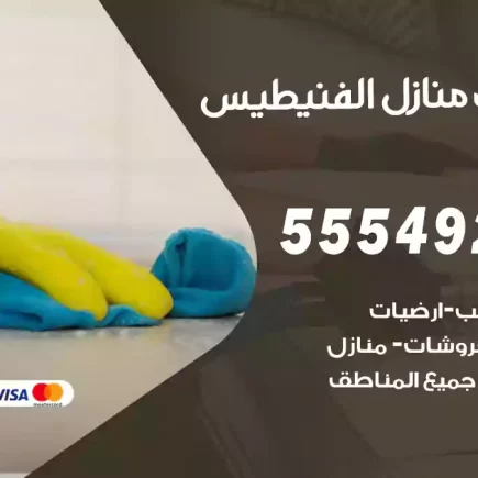 تنظيف منازل الفنيطيس