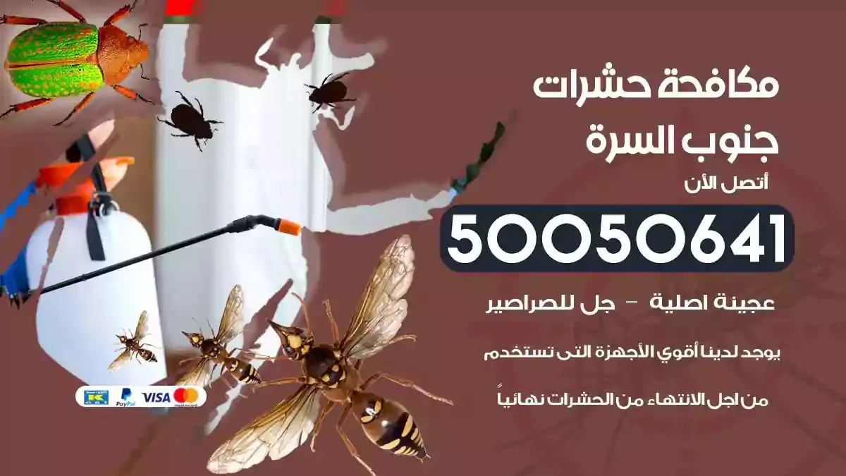 رش حشرات جنوب السرة