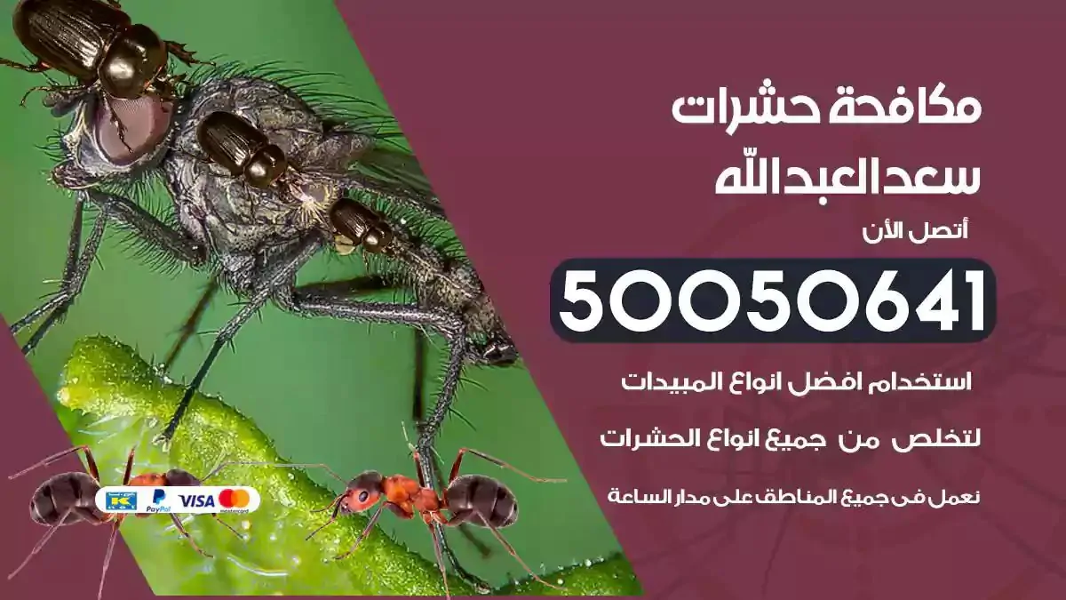 رش حشرات سعد العبدالله