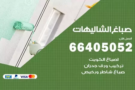 صباغ الشاليهات