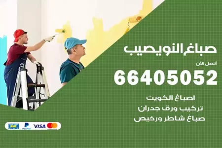 صباغ النويصيب