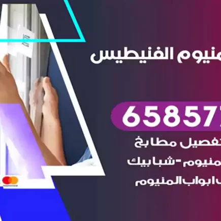 فني المنيوم الفنيطيس