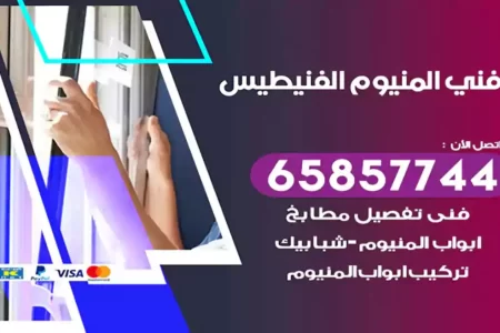 فني المنيوم الفنيطيس