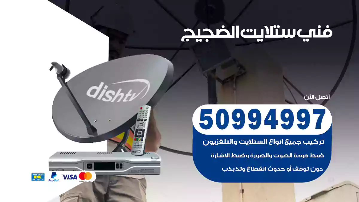 فني ستلايت الضجيج