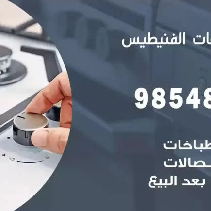فني صيانة طباخات الفنيطيس