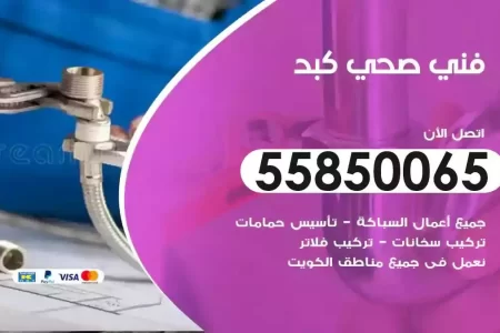 فني صحي سباك كبد