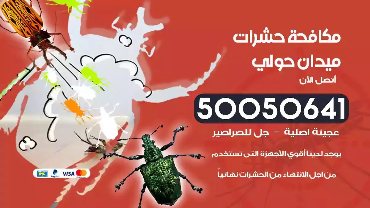رش حشرات ميدان حولي